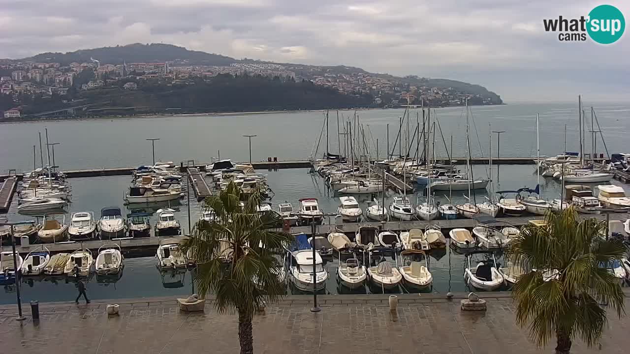 Web kamera Koper – marina i promenada – hotel Grand Koper