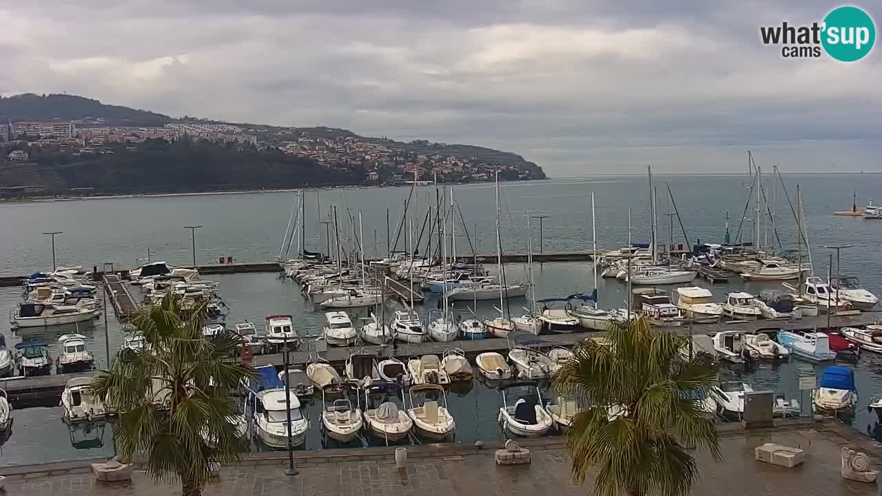 Camera en vivo Koper – puerto deportivo y paseo marítimo desde el Hotel Grand Koper