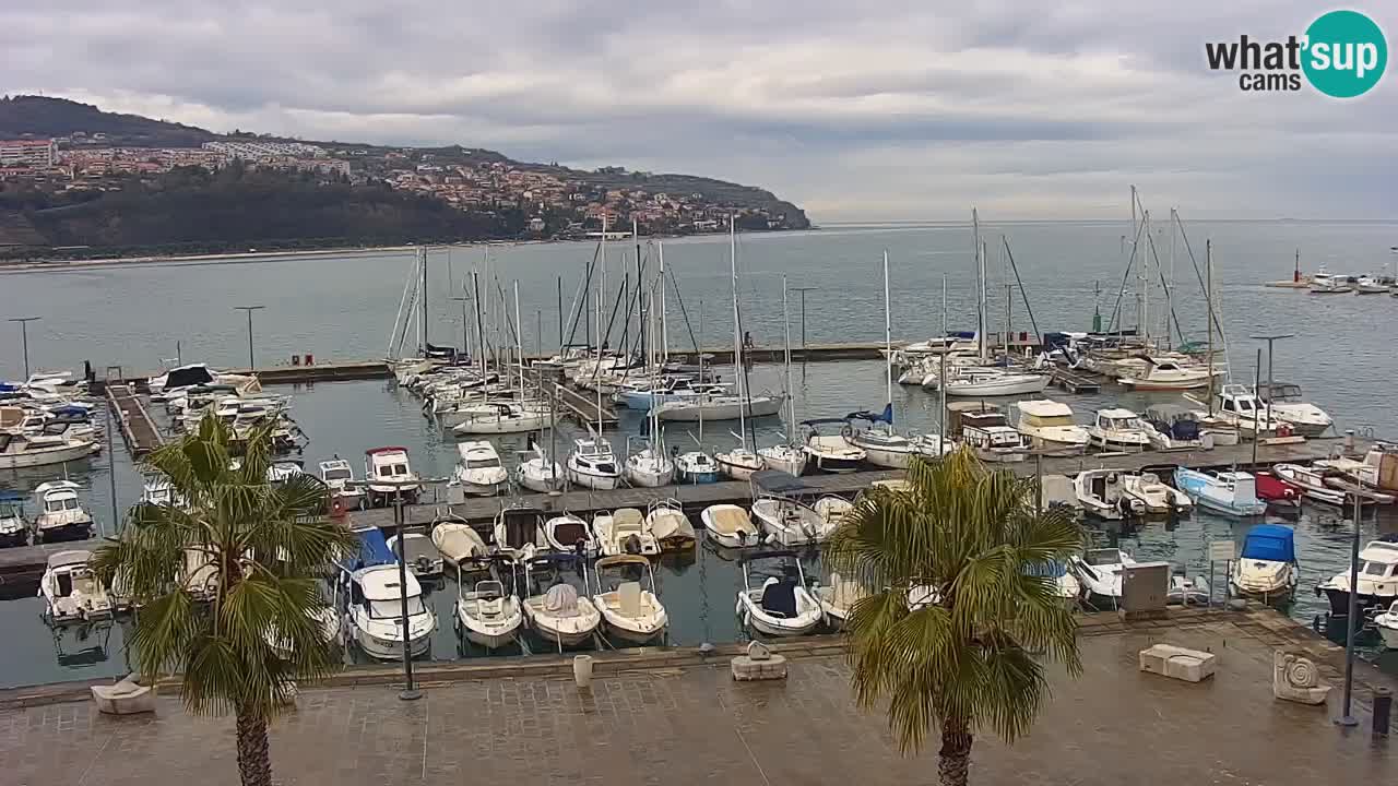 Webcam Koper – Panorama des Jachthafens und der Promenade vom Hotel Grand Koper