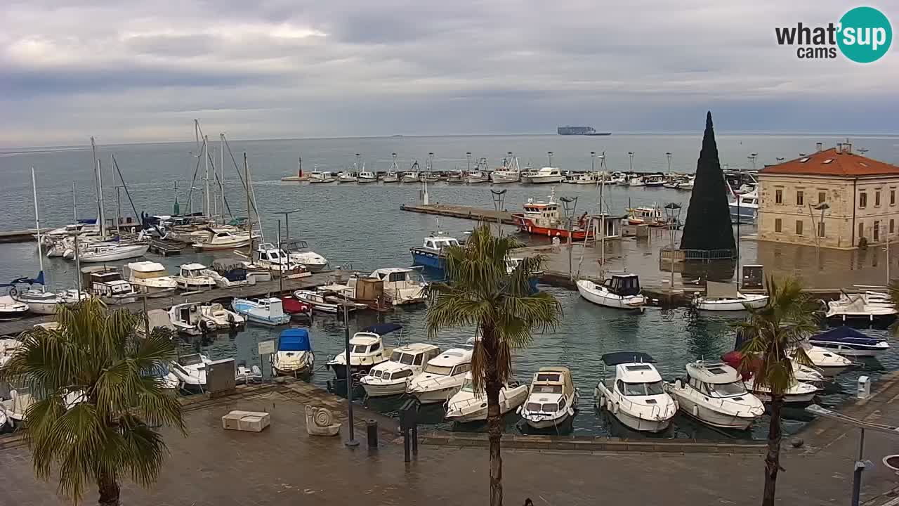 Camera en vivo Koper – puerto deportivo y paseo marítimo desde el Hotel Grand Koper