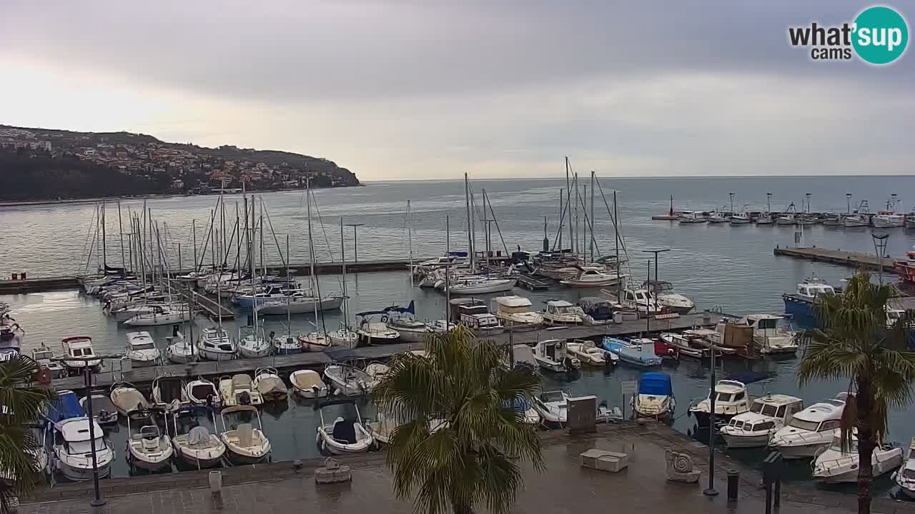 Camera en vivo Koper – puerto deportivo y paseo marítimo desde el Hotel Grand Koper