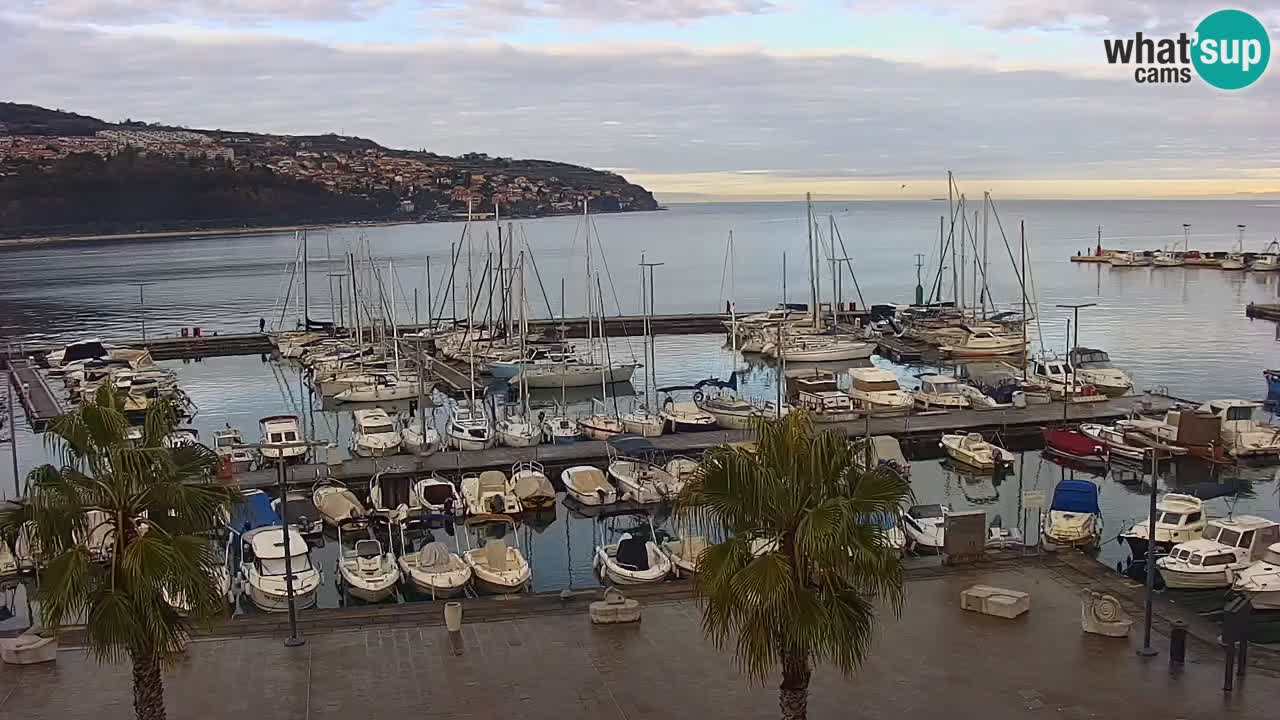Web kamera Koper – marina i promenada – hotel Grand Koper