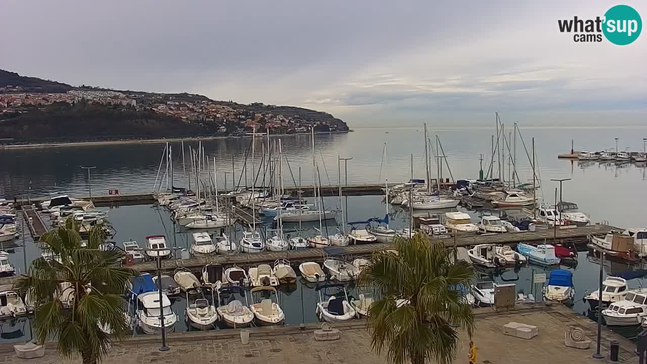 Webcam Koper – Panorama of the marina and promenade from the Grand Hotel Koper