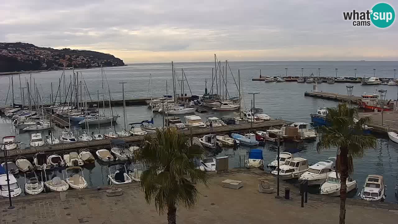 Camera en vivo Koper – puerto deportivo y paseo marítimo desde el Hotel Grand Koper