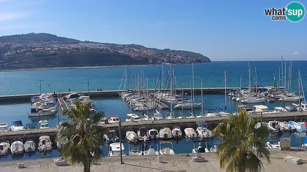 Webcam Koper – Panorama des Jachthafens und der Promenade vom Hotel Grand Koper