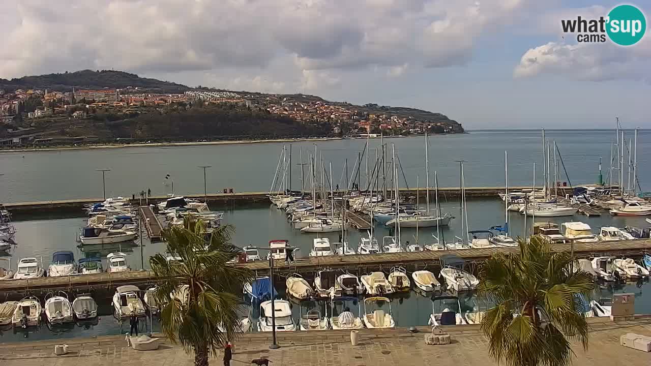 Spletna kamera Koper – Panorama na marino in promenado s Hotela Grand Koper