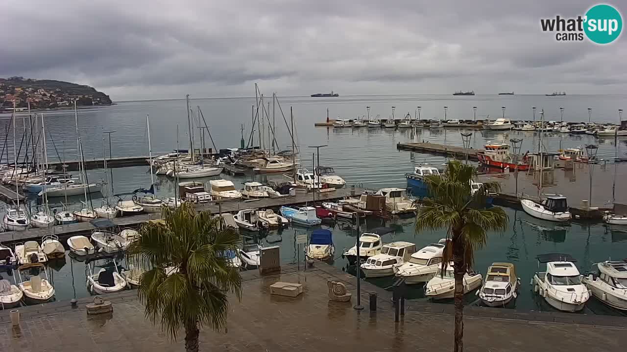 Spletna kamera Koper – Panorama na marino in promenado s Hotela Grand Koper