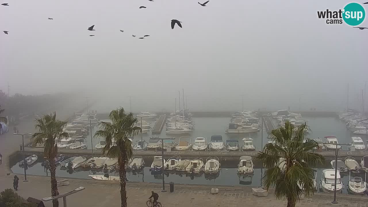 Webcam Koper – Panorama de la marina et de la promenade depuis le Grand Hotel Koper