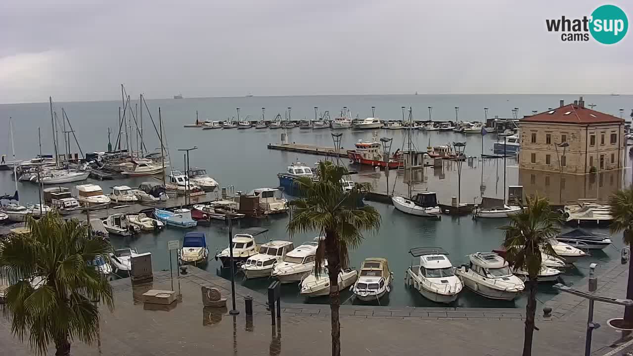 Webcam Koper – Panorama of the marina and promenade from the Grand Hotel Koper