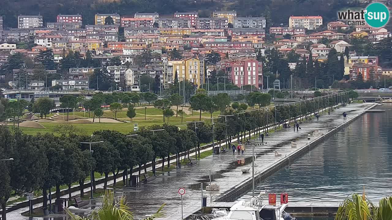 Der Hafen von Koper Live-Webcam – Kreuzfahrt- und Frachthafen – Slowenien