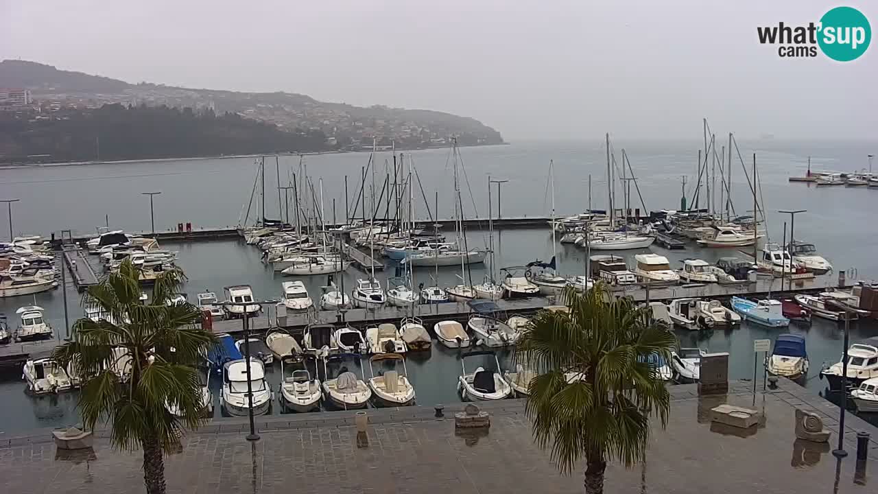 Webcam Koper – Panorama of the marina and promenade from the Grand Hotel Koper