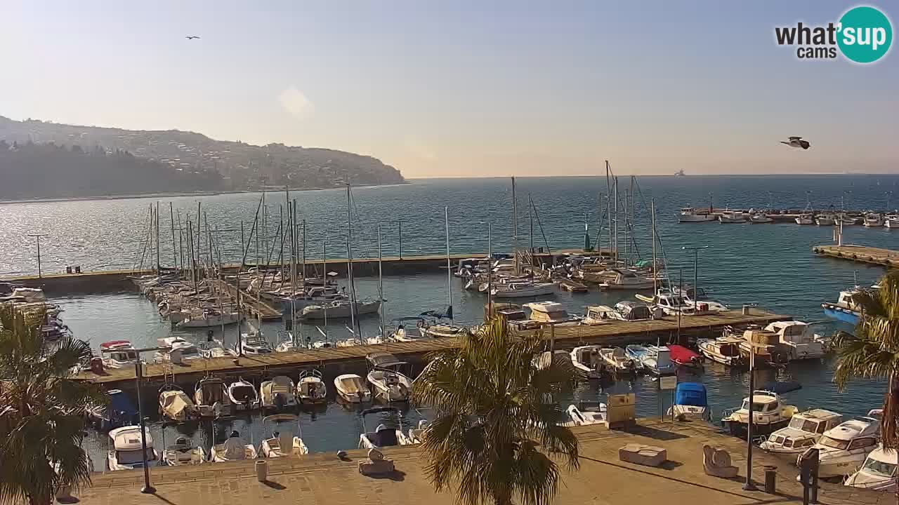 Webcam Capodistria – marina e lungo mare dall’Hotel Grand Koper