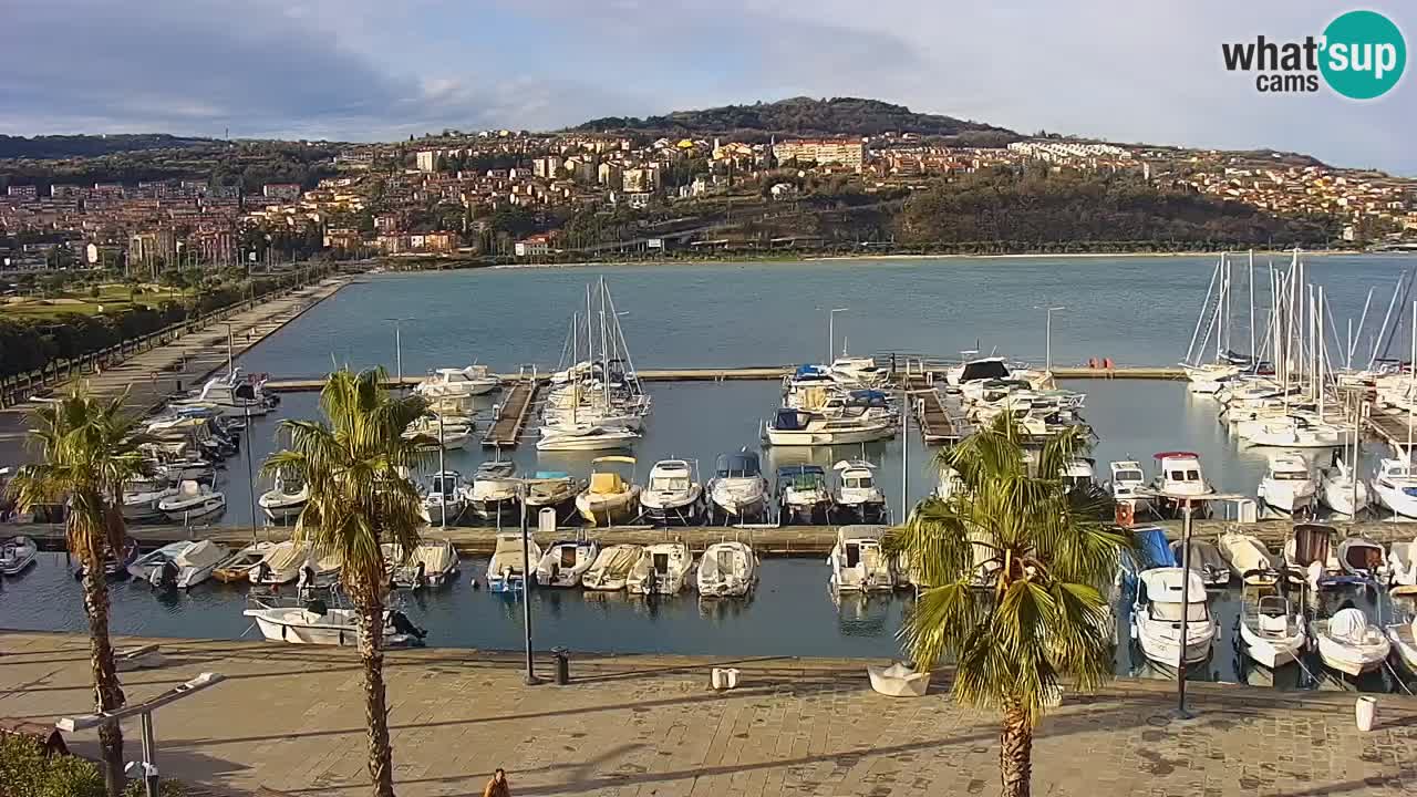Spletna kamera Koper – Panorama na marino in promenado s Hotela Grand Koper