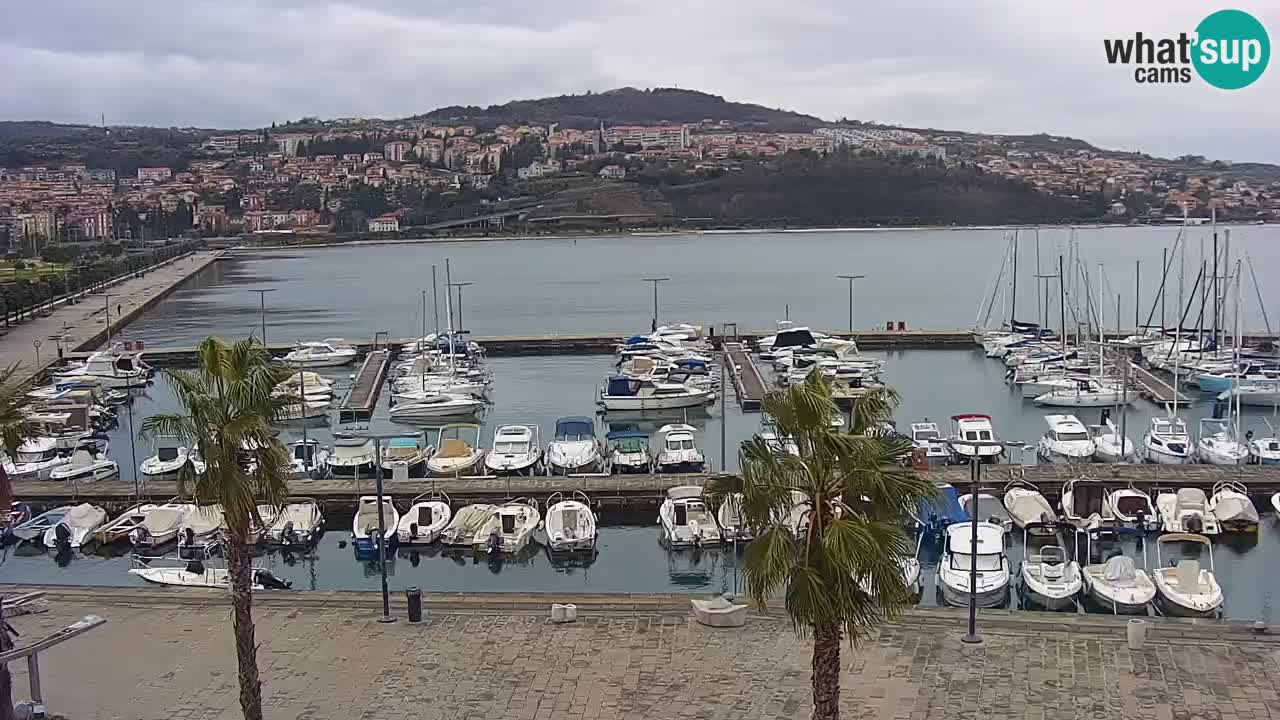 Webcam Koper – Panorama of the marina and promenade from the Grand Hotel Koper