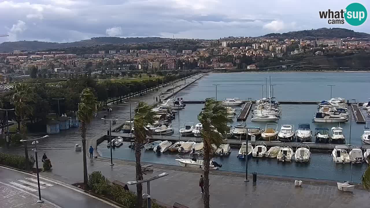 Spletna kamera Koper – Panorama na marino in promenado s Hotela Grand Koper