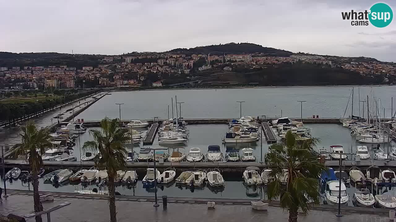 Camera en vivo Koper – puerto deportivo y paseo marítimo desde el Hotel Grand Koper