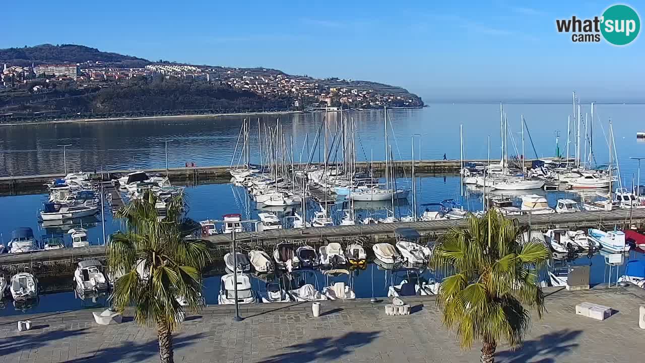 Spletna kamera Koper – Panorama na marino in promenado s Hotela Grand Koper
