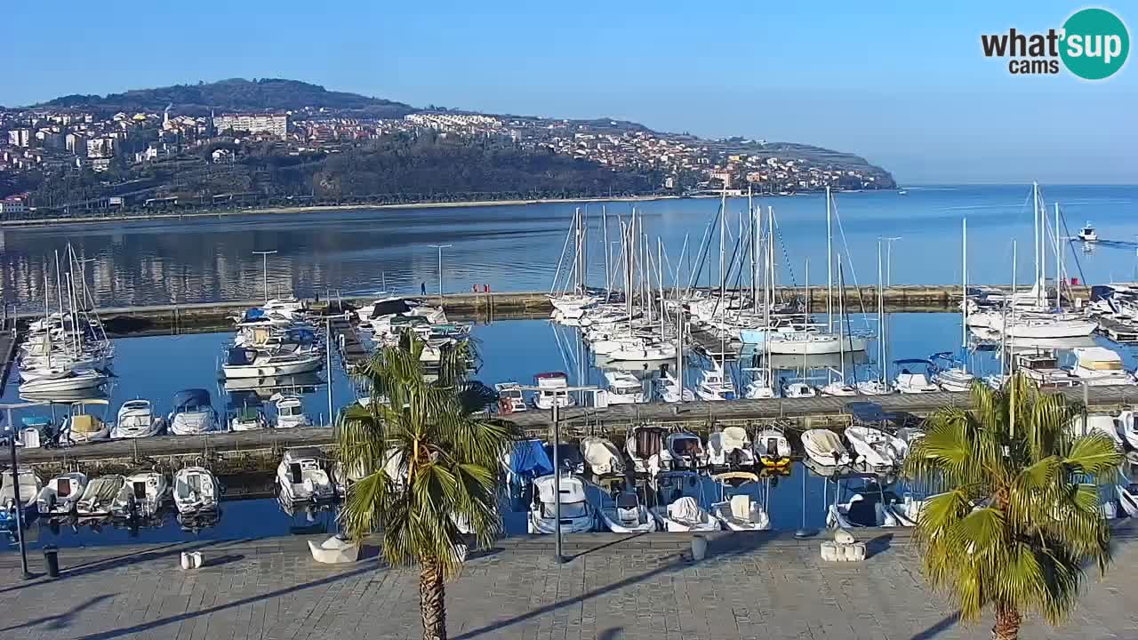 Web kamera Koper – marina i promenada – hotel Grand Koper