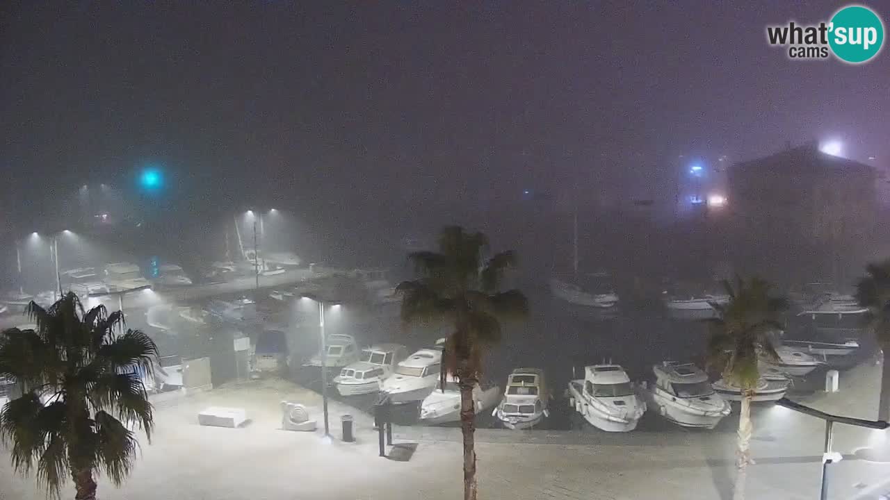 Webcam Koper – Panorama of the marina and promenade from the Grand Hotel Koper