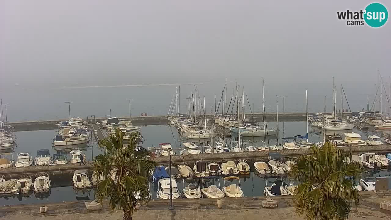 Der Hafen von Koper Live-Webcam – Kreuzfahrt- und Frachthafen – Slowenien