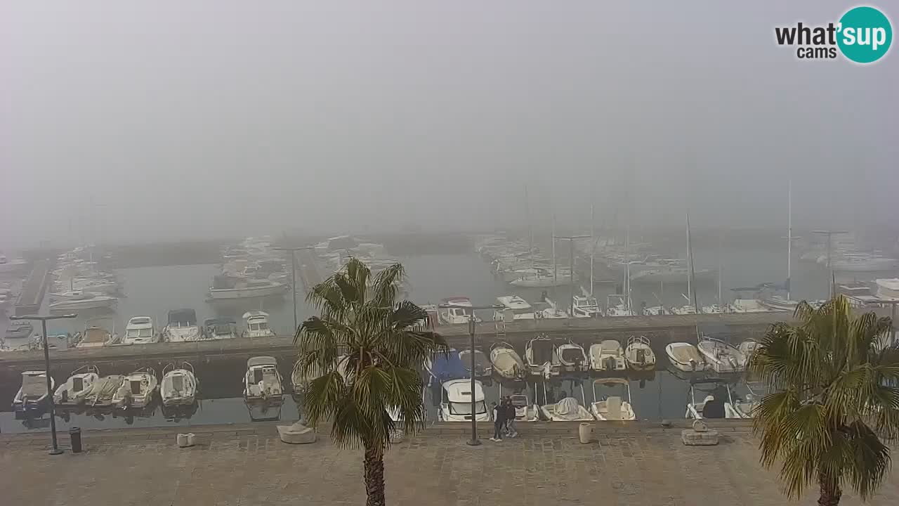 Webcam Koper – Panorama of the marina and promenade from the Grand Hotel Koper