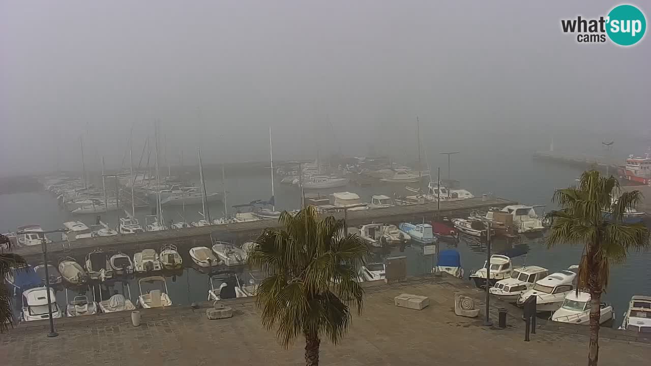 Webcam Koper – Panorama of the marina and promenade from the Grand Hotel Koper