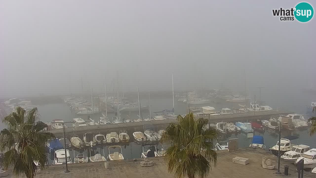 Web kamera Koper – marina i promenada – hotel Grand Koper