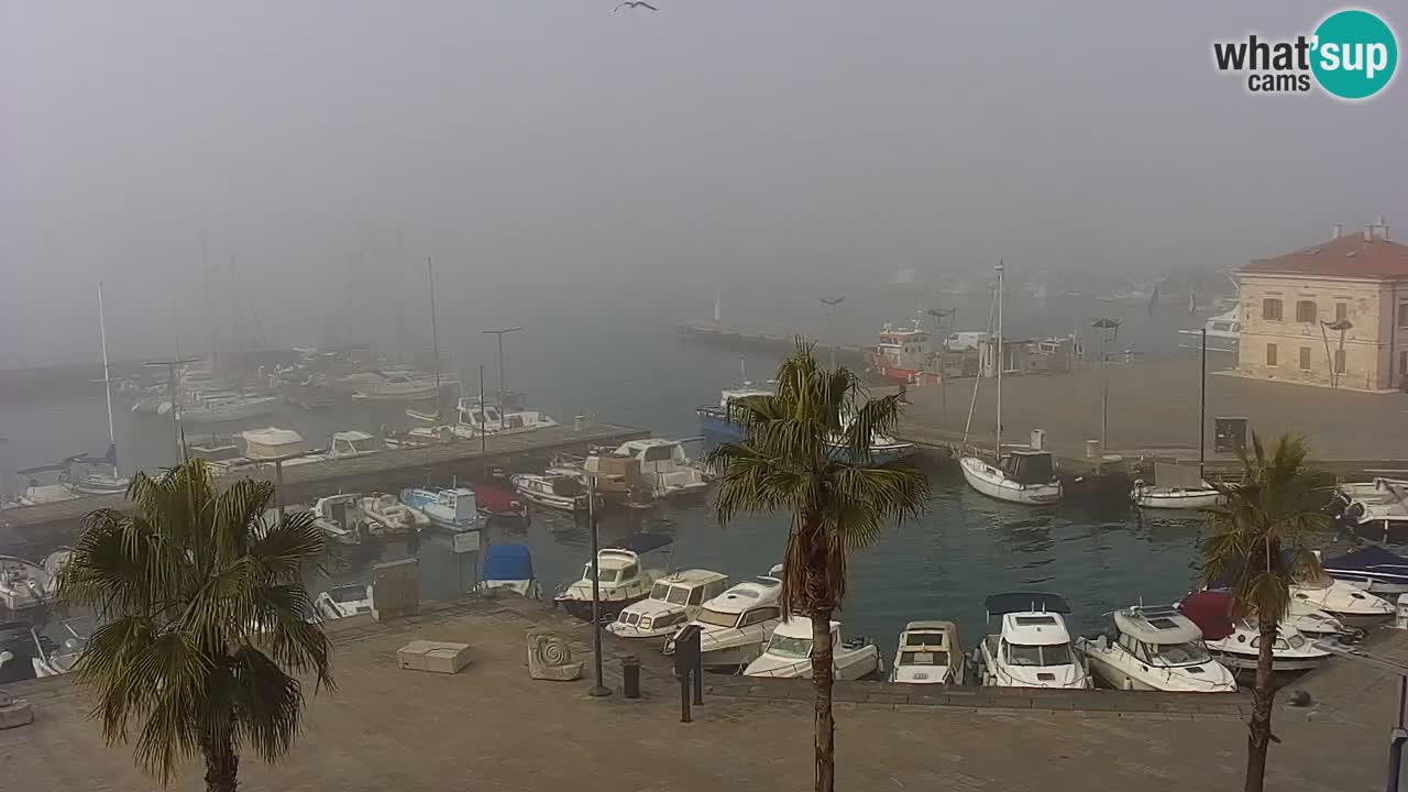 Webcam en vivo del Puerto de Koper – puerto de carga y cruceros – Eslovenia