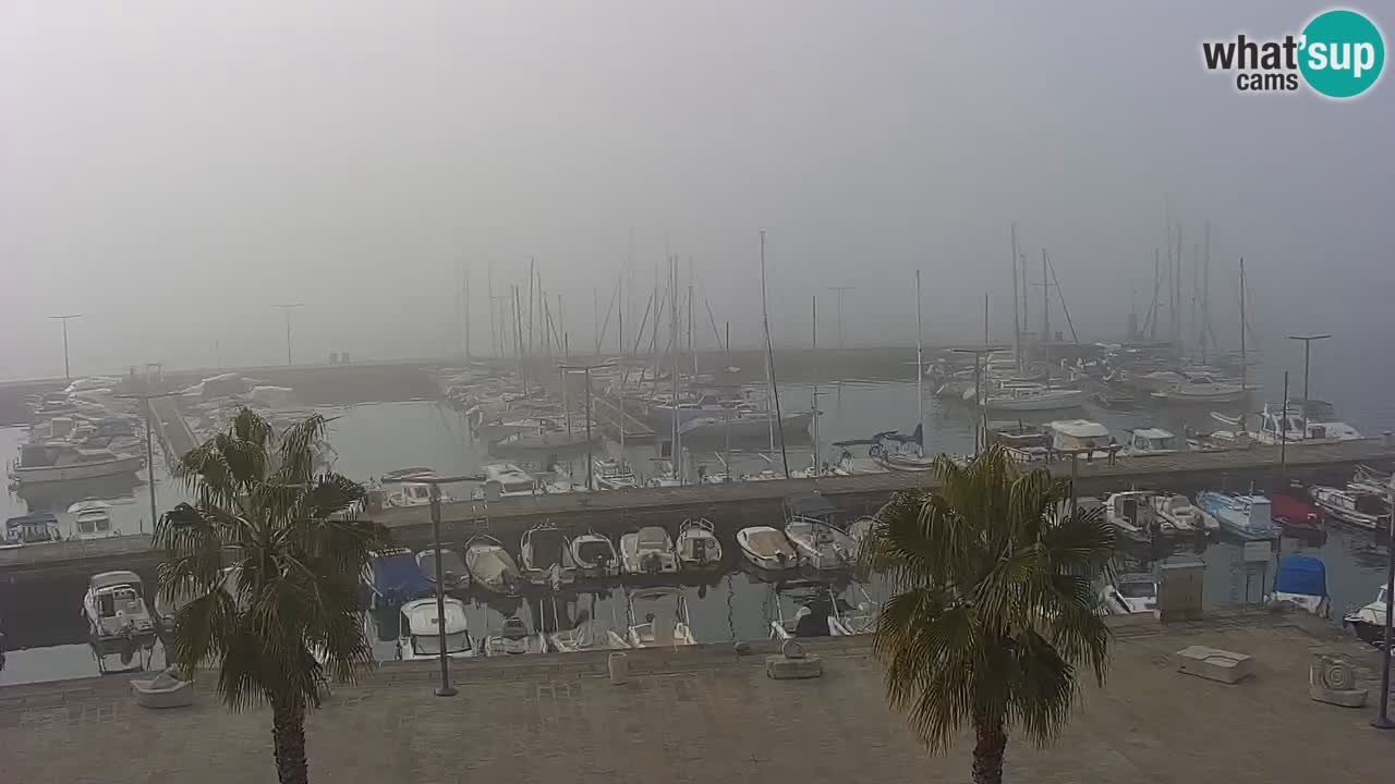 Webcam Koper – Panorama of the marina and promenade from the Grand Hotel Koper