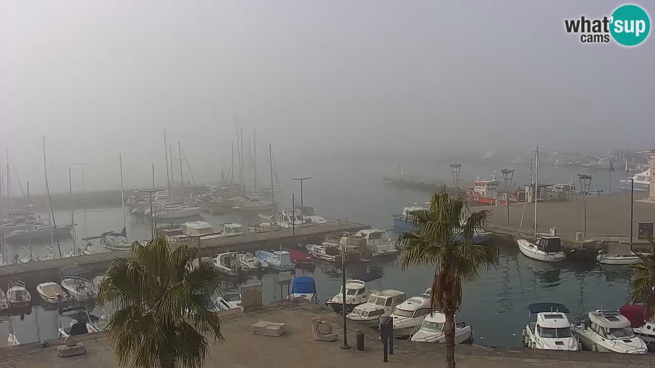 Spletna kamera Koper – Panorama na marino in promenado s Hotela Grand Koper