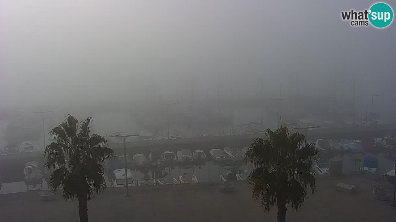 Webcam en vivo del Puerto de Koper – puerto de carga y cruceros – Eslovenia