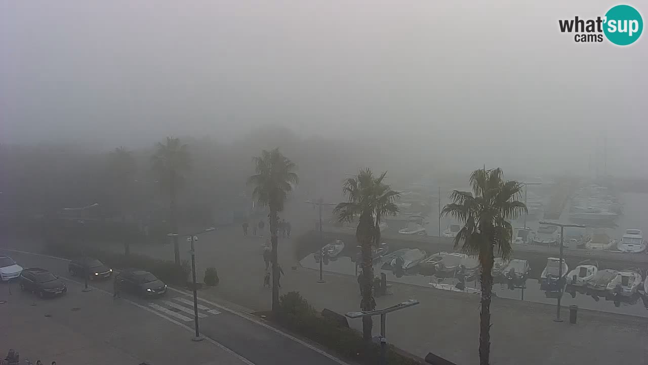 The Port of Koper live webcam – cruise and cargo port – Slovenia