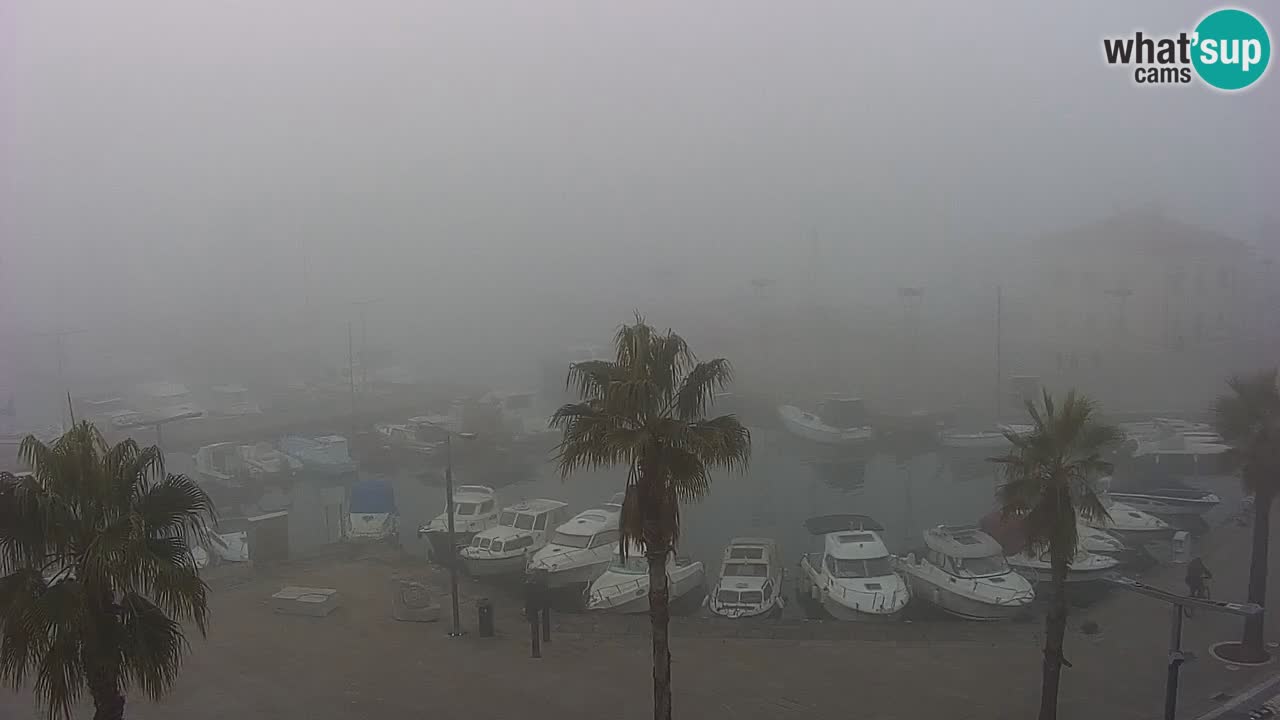 Camera en vivo Koper – puerto deportivo y paseo marítimo desde el Hotel Grand Koper