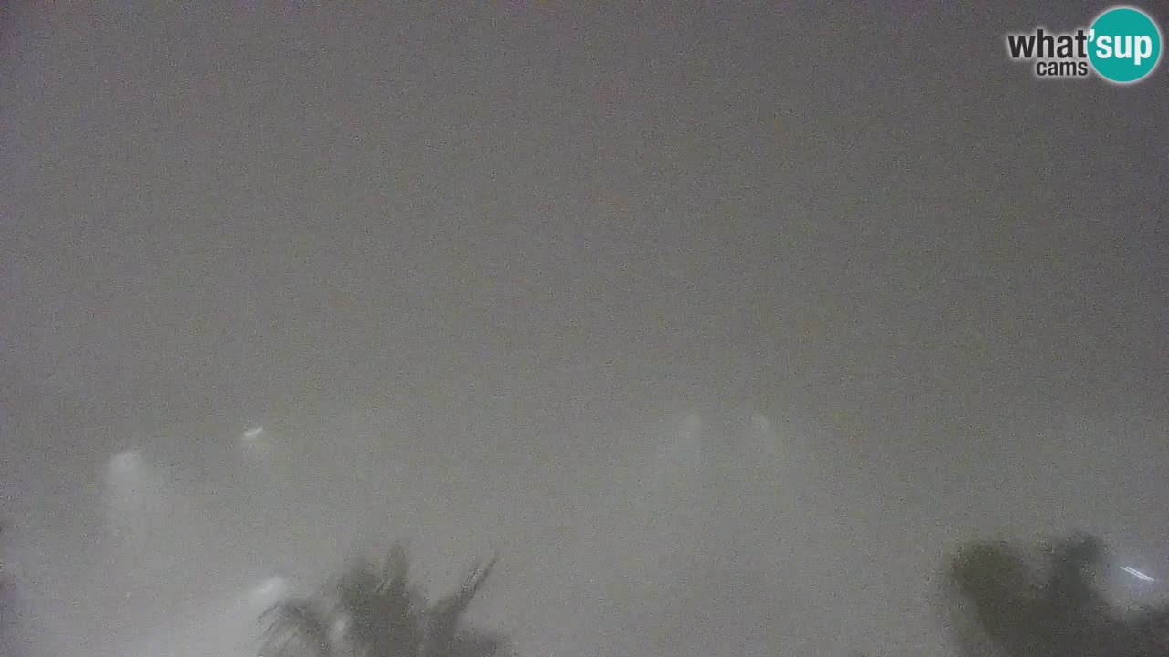 Camera en vivo Koper – puerto deportivo y paseo marítimo desde el Hotel Grand Koper