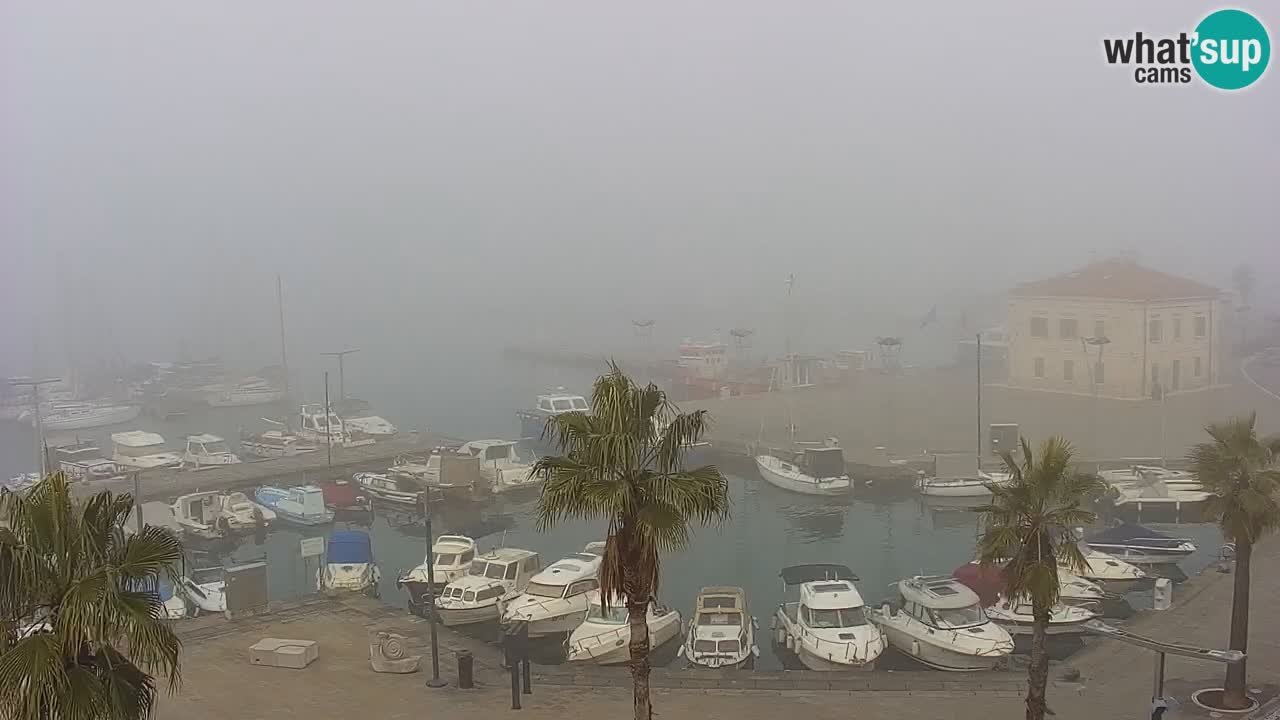 Spletna kamera Koper – Panorama na marino in promenado s Hotela Grand Koper