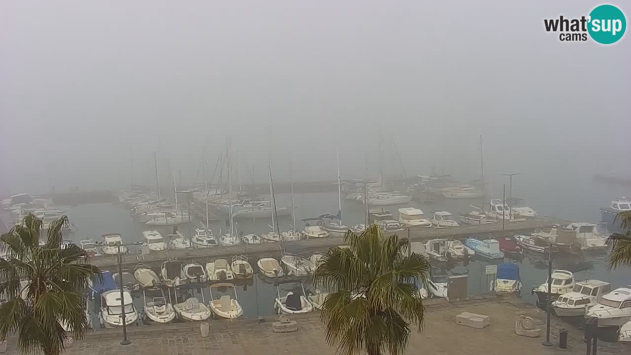 Webcam Capodistria – marina e lungo mare dall’Hotel Grand Koper