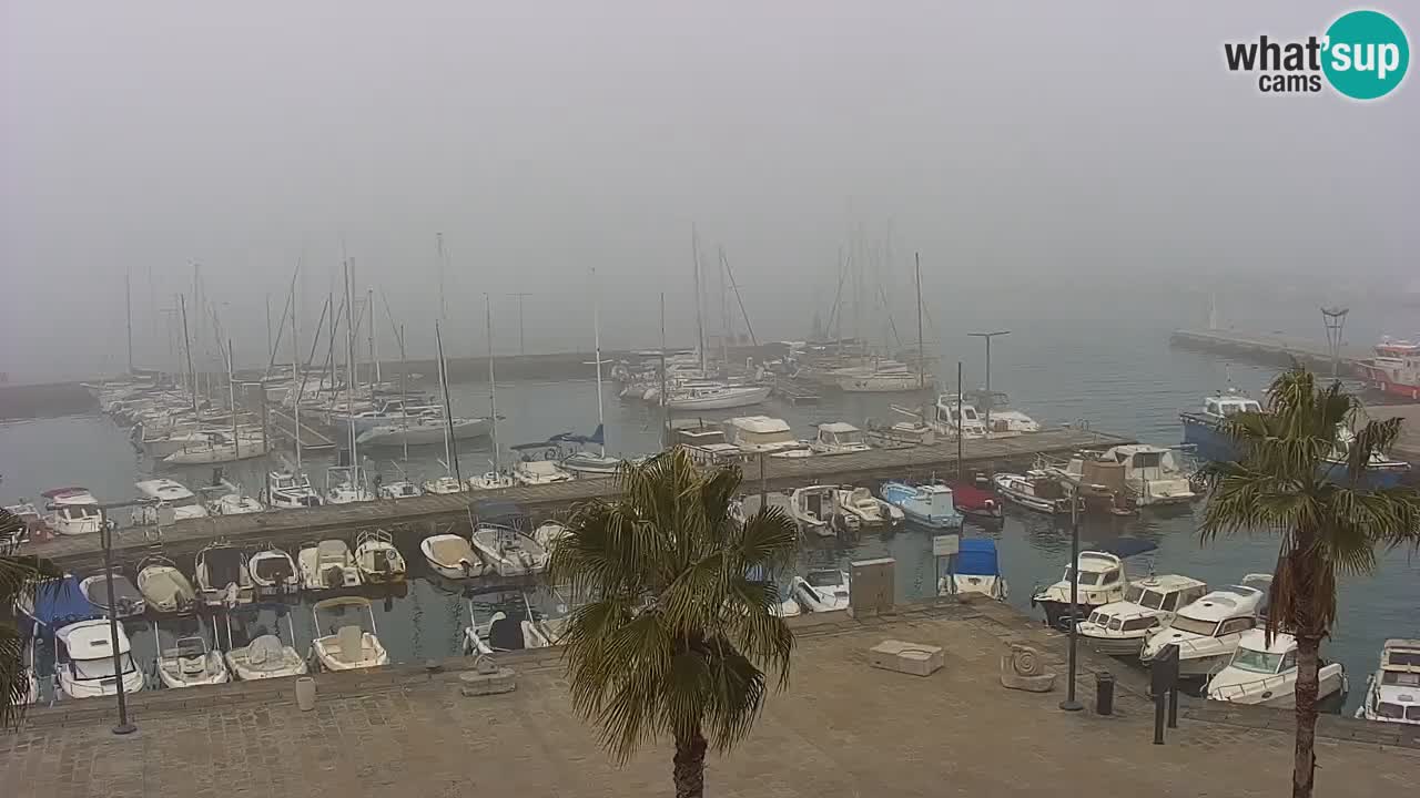 Spletna kamera Koper – Panorama na marino in promenado s Hotela Grand Koper