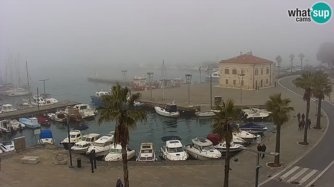 Spletna kamera Koper – Panorama na marino in promenado s Hotela Grand Koper