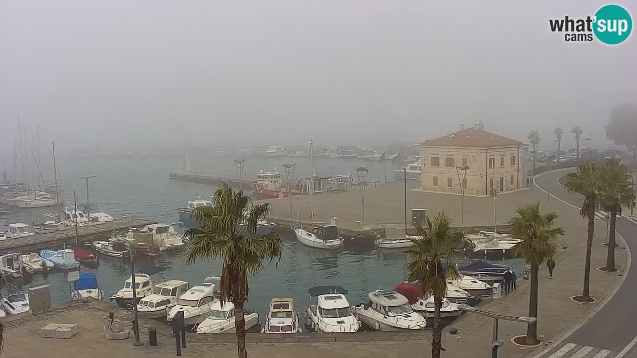 Webcam Koper – Panorama of the marina and promenade from the Grand Hotel Koper