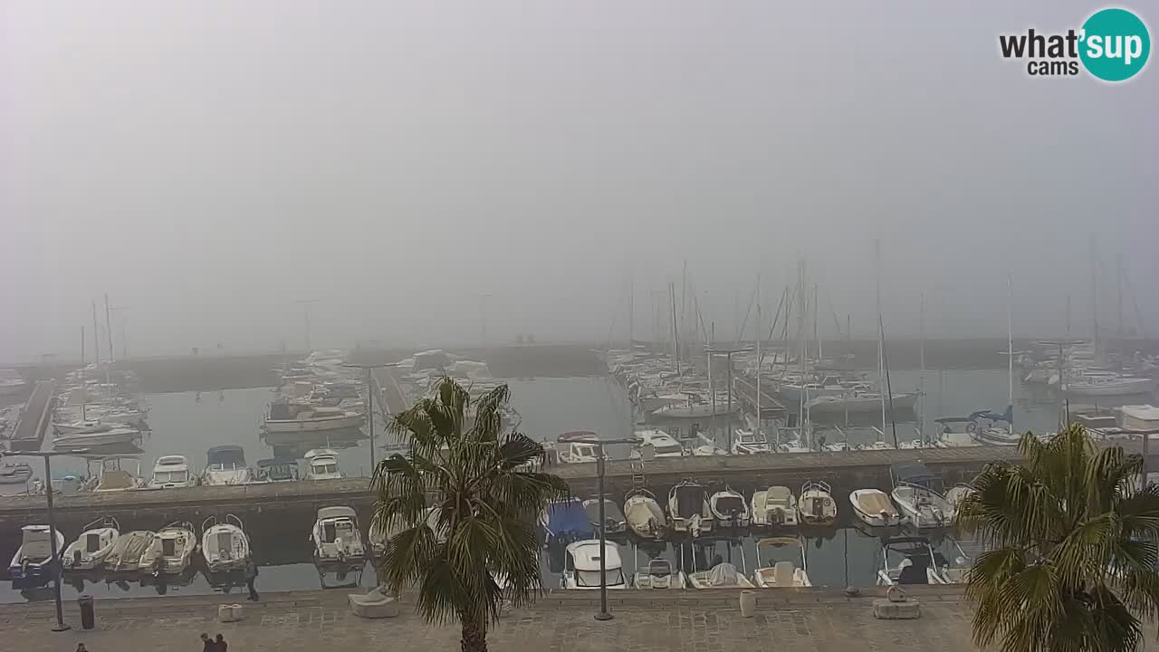 Spletna kamera Koper – Panorama na marino in promenado s Hotela Grand Koper