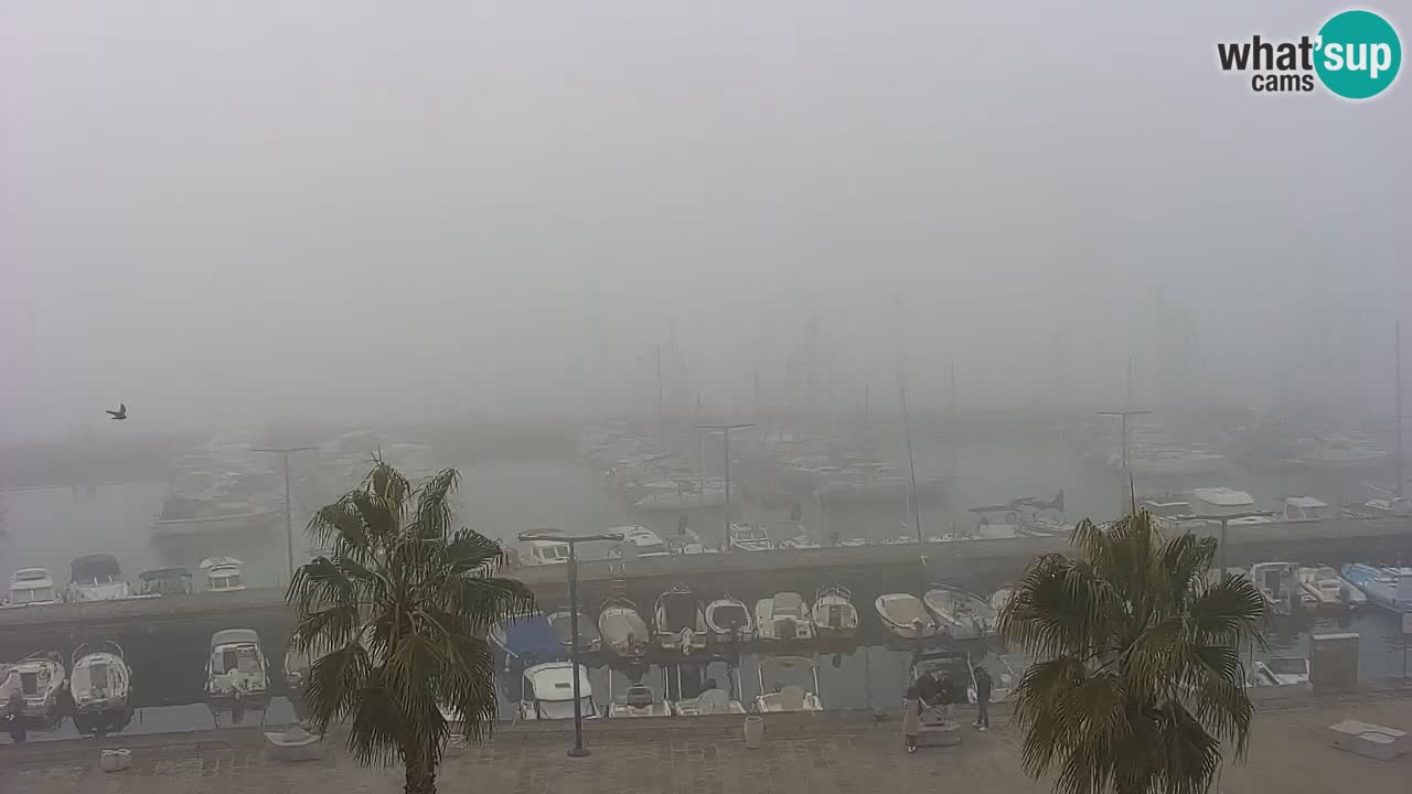 Camera en vivo Koper – puerto deportivo y paseo marítimo desde el Hotel Grand Koper