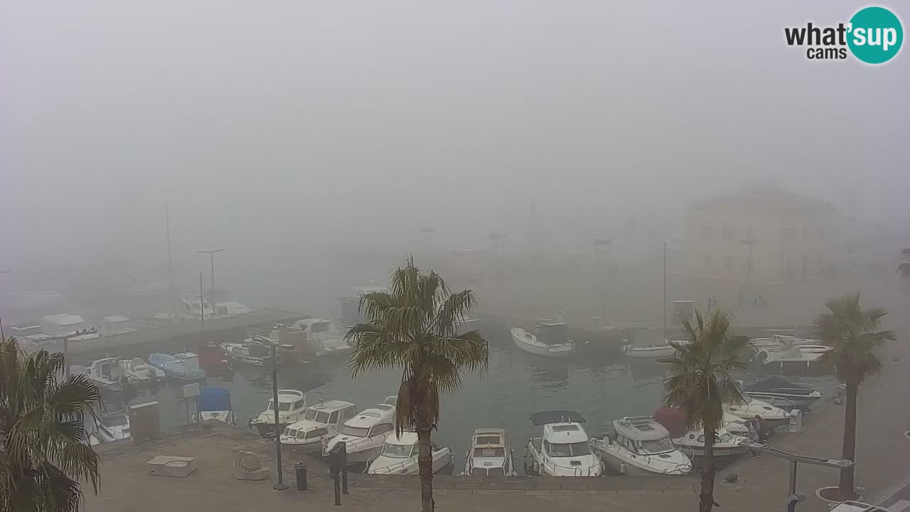 Spletna kamera Luka Koper v živo – Potniški terminal in tovorno pristanišče – Slovenija