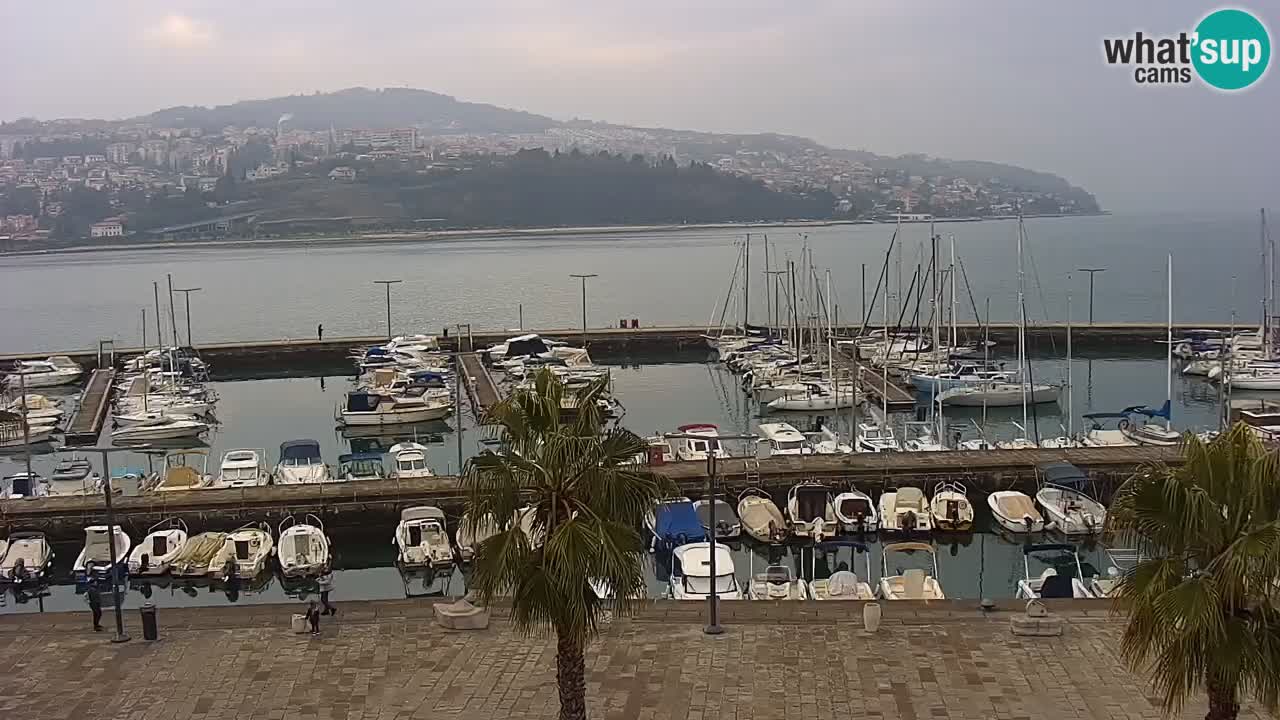 Camera en vivo Koper – puerto deportivo y paseo marítimo desde el Hotel Grand Koper