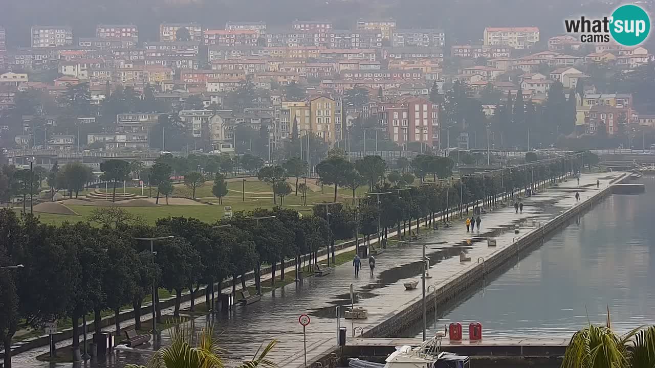 The Port of Koper live webcam – cruise and cargo port – Slovenia