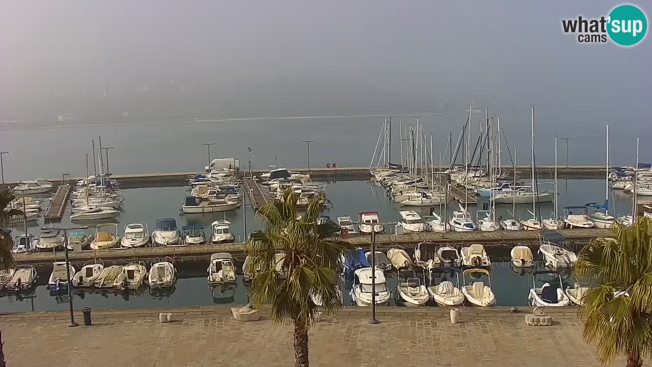 Luka Kopar uživo web kamera – Turistički terminal i teretna luka – Slovenija