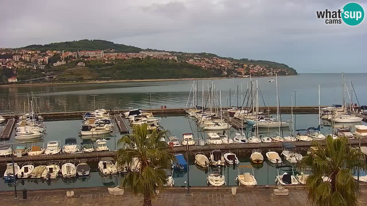 Spletna kamera Koper – Panorama na marino in promenado s Hotela Grand Koper