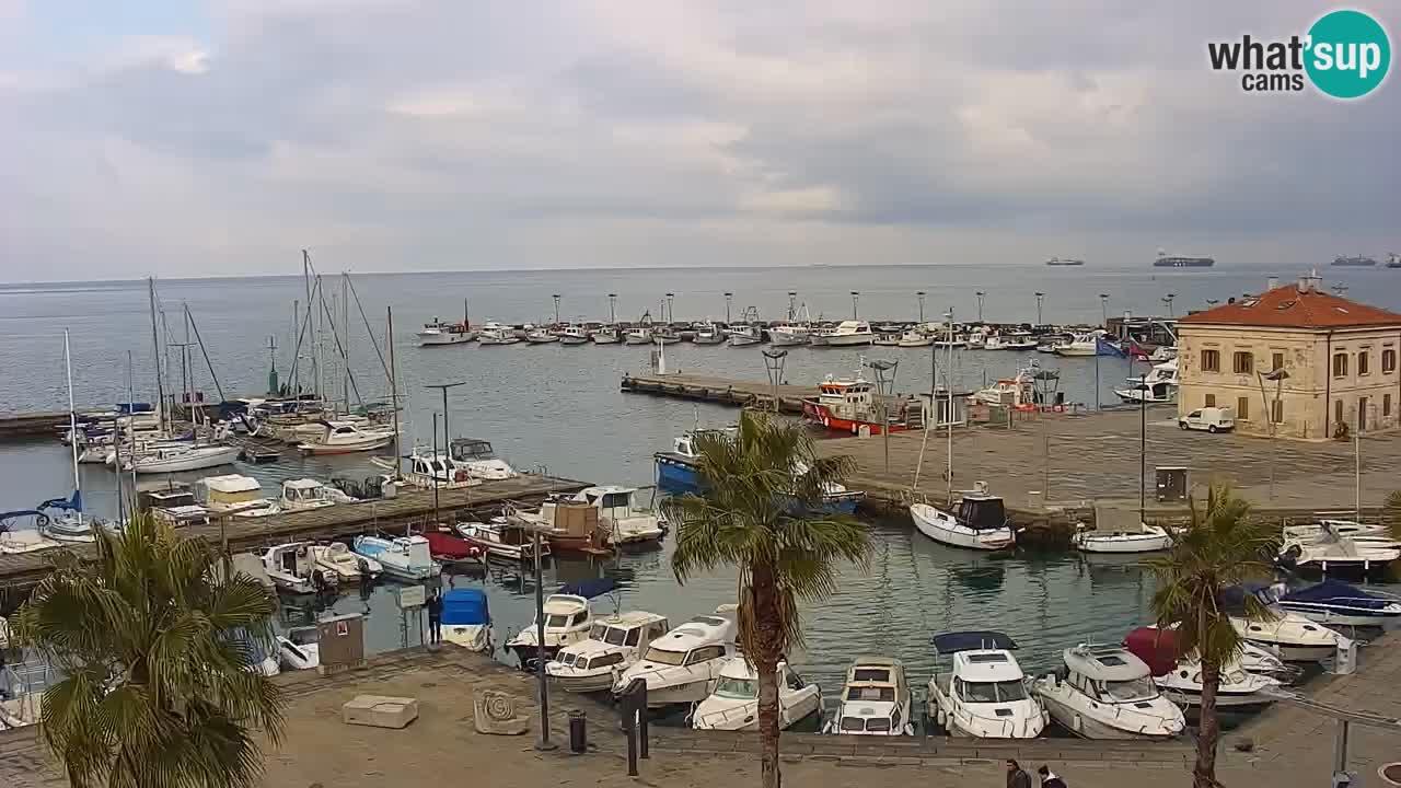 Spletna kamera Koper – Panorama na marino in promenado s Hotela Grand Koper