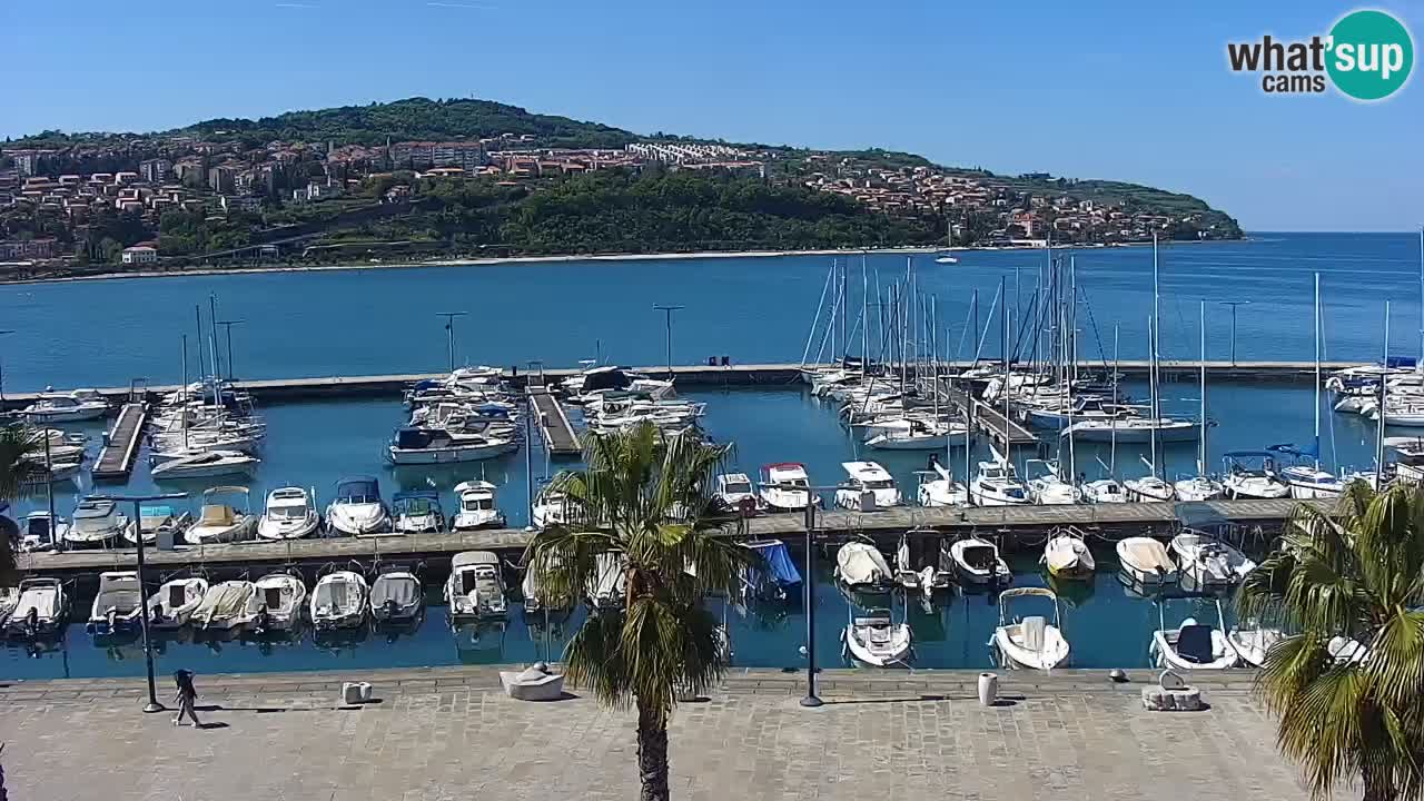 Webcam Capodistria – marina e lungo mare dall’Hotel Grand Koper
