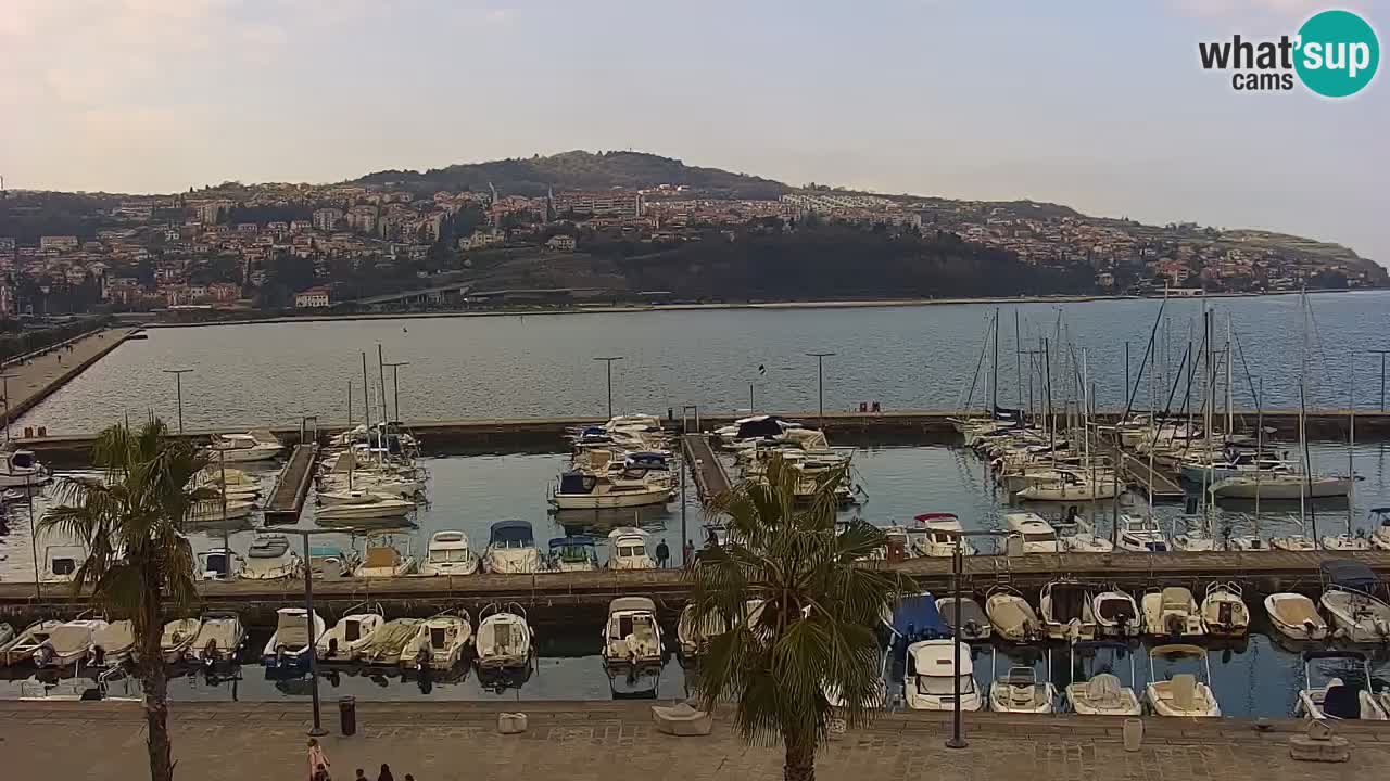 Spletna kamera Koper – Panorama na marino in promenado s Hotela Grand Koper