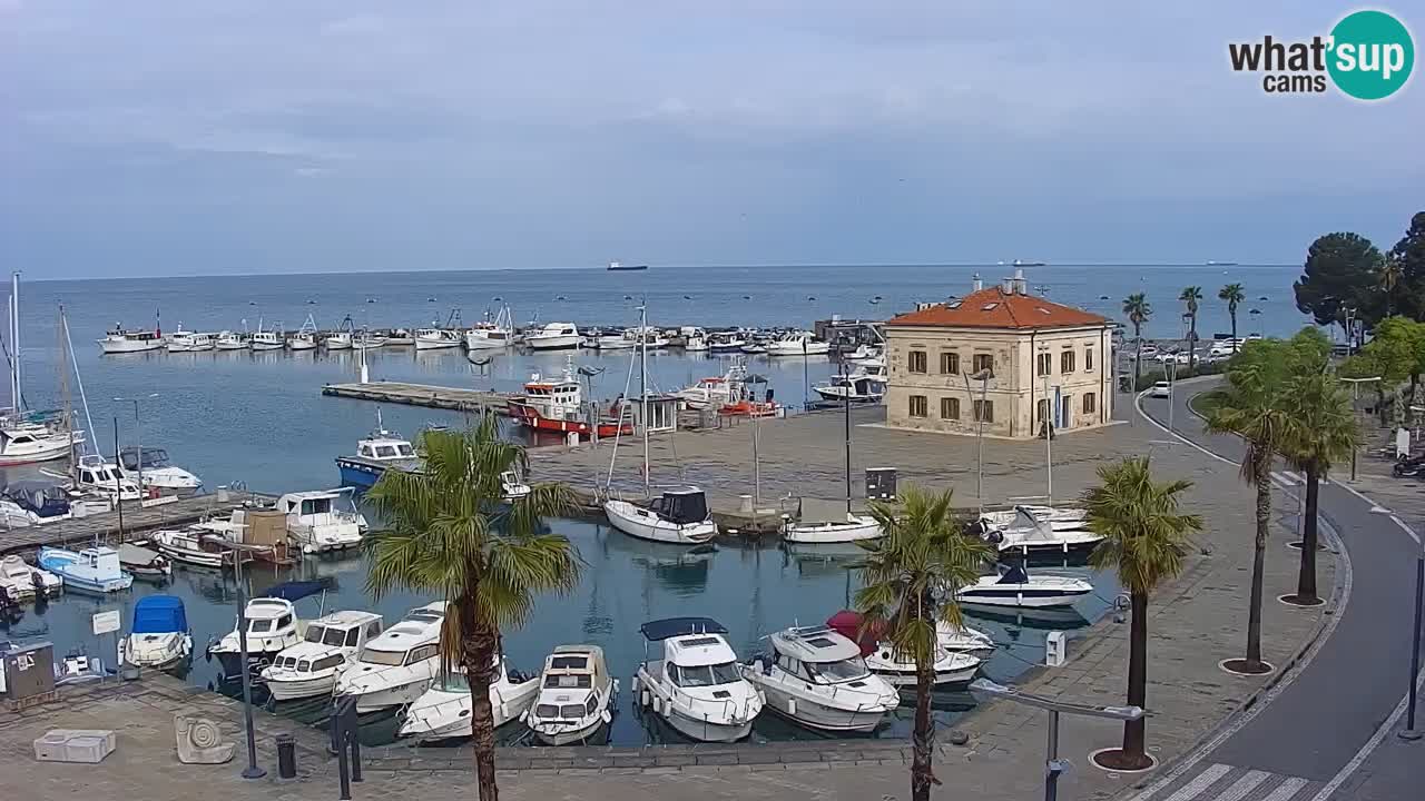 Spletna kamera Koper – Panorama na marino in promenado s Hotela Grand Koper